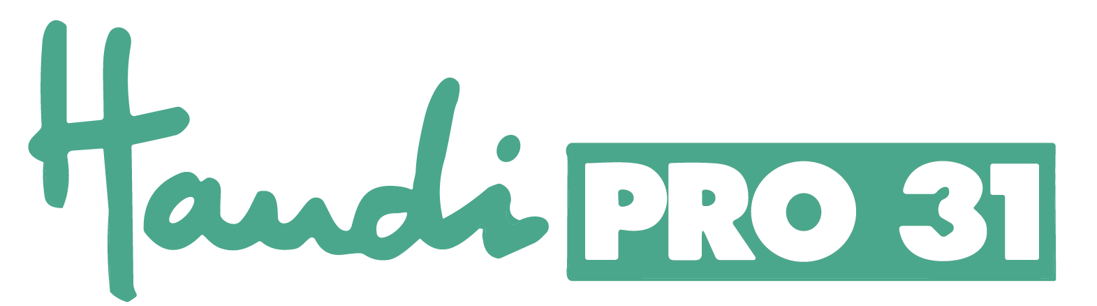 Logo HandiPro31