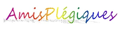Une rencontre inspirante avec l’association AmisPlégiques